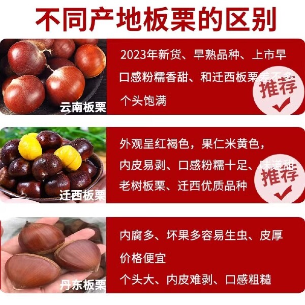 云南板栗现摘生新鲜油栗仁当季去壳蔬菜整箱包邮大锥