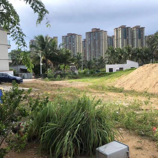雅居乐清水湾附近宅基地转让或合作建房国道二线交通方便离海边近