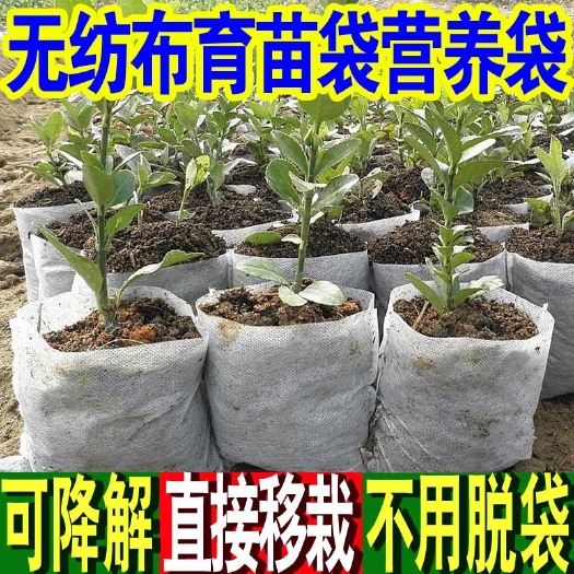 无纺布育苗袋营养钵美植袋可降解育苗袋园艺种植袋