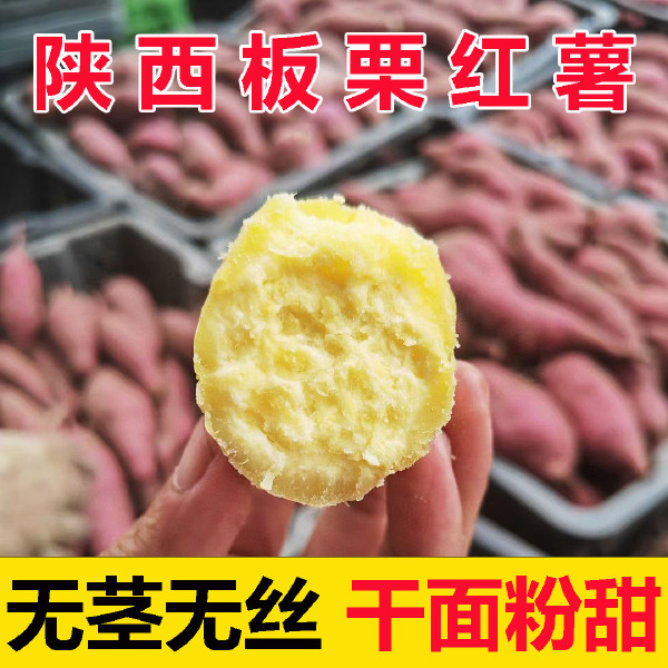 【一件代发】陕西板栗红薯板栗薯5斤/9斤装