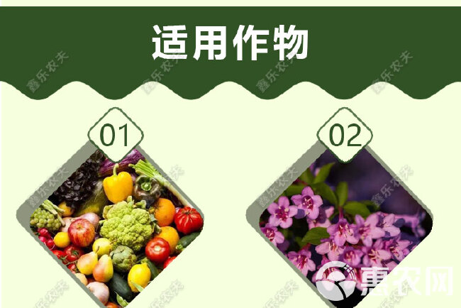 杀虫剂寡糖噻唑膦针对地下害虫根结线虫根腐线虫孢囊线虫