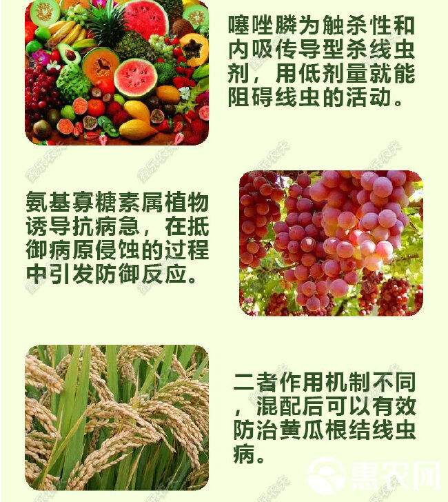 杀虫剂寡糖噻唑膦针对地下害虫根结线虫根腐线虫孢囊线虫