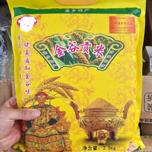 金乡县自家种的小米（谷子）