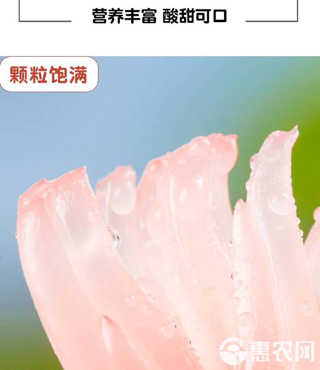 海南红心柚子新鲜水果当季整箱10斤蜜柚时令葡萄西柚三红肉叶琯