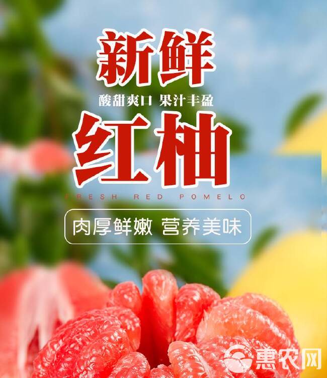 海南红心柚子新鲜水果当季整箱10斤蜜柚时令葡萄西柚三红肉叶琯