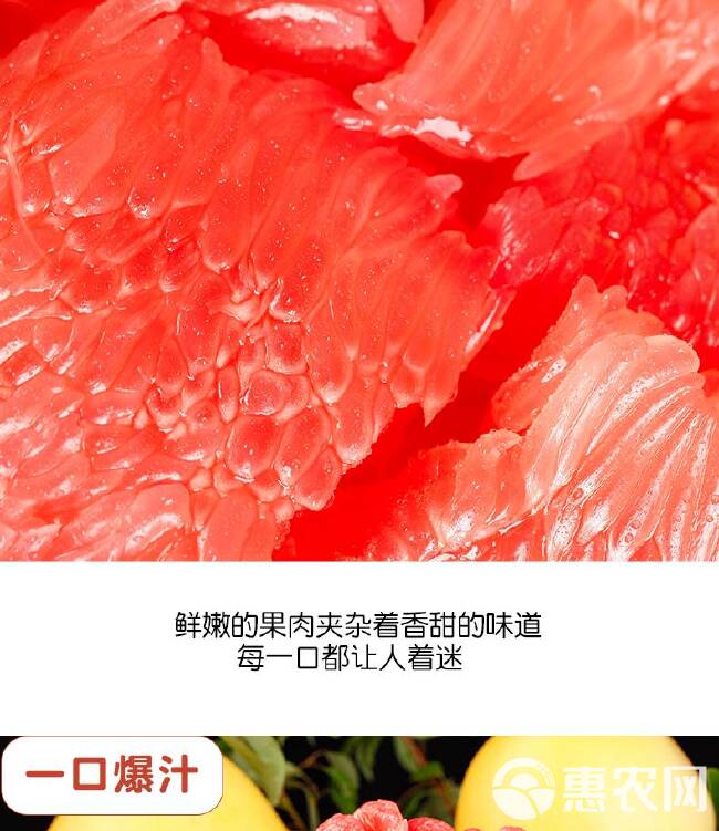 海南红心柚子新鲜水果当季整箱10斤蜜柚时令葡萄西柚三红肉叶琯