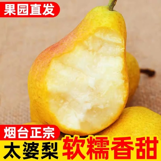 栖霞市山东太婆梨新鲜烟台软梨老婆梨大头梨香梨洋茄梨山东啤梨水果批发