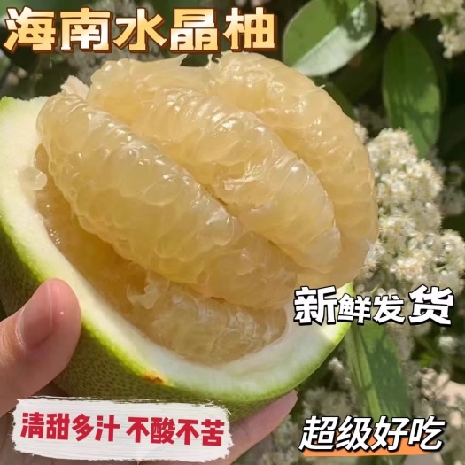 海南红宝石水晶蜜柚当季新鲜水果脆甜青皮柚子白心果肉现摘现发