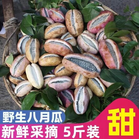 南宁野生八月瓜香瓜甜瓜新鲜水果八月炸丑八怪蜜瓜脆甜当季高端