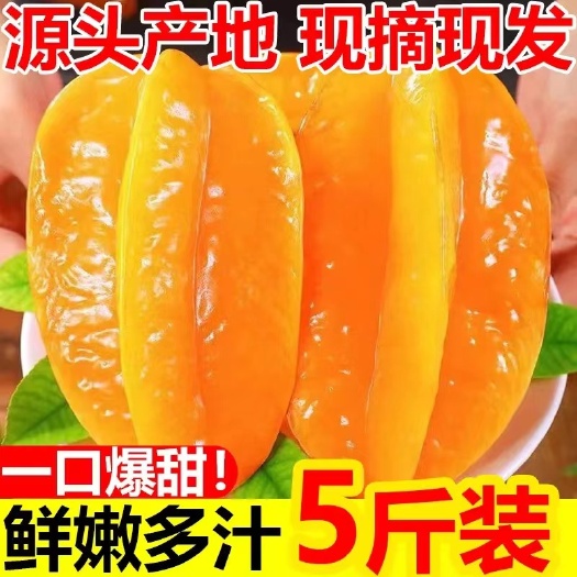 漳浦县福建杨桃新鲜应季五星大洋桃流星果香甜可口汁多味美时令特产水果