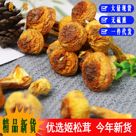 古田县姬松茸优选姬松茸干货批发巴西蘑菇煲汤食材批发一件代发