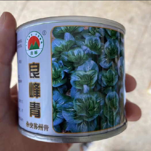 杭州良峰青菜种子黑叶苏州青种子耐寒束腰抗病杂交蔬菜基地