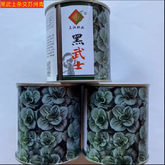 杭州黑武士青菜种子杂交苏州青种子矮脚油亮耐低基地专用