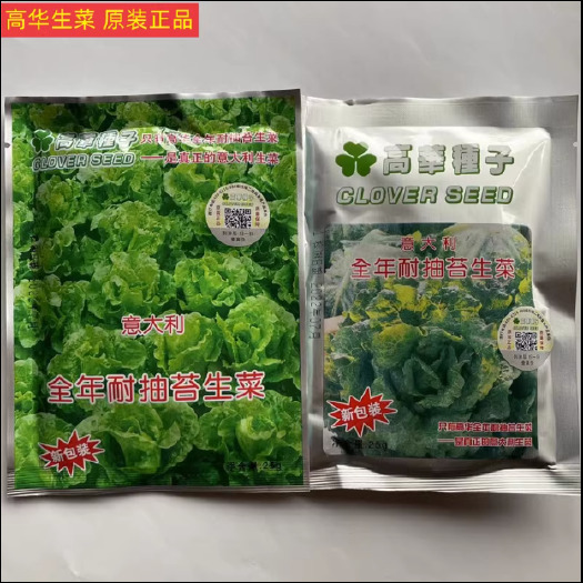 杭州香港高华生菜种子意大利耐抽苔半包心不苦味生菜高产蔬菜