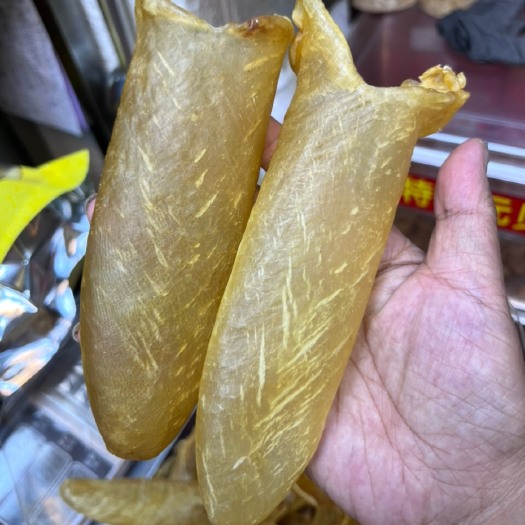 广州18头黄花胶