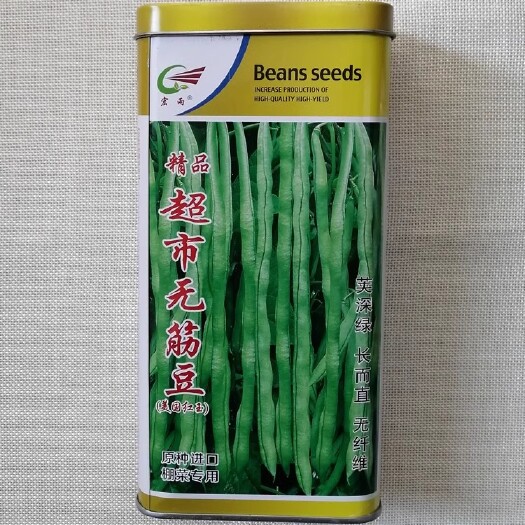 精品超市无筋架豆种子 棚菜用 鲜荚深绿 长而直无纤维