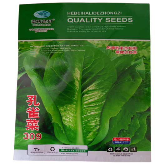 孔雀菜种子早熟耐寒沙拉菜种子四季直立生菜种子