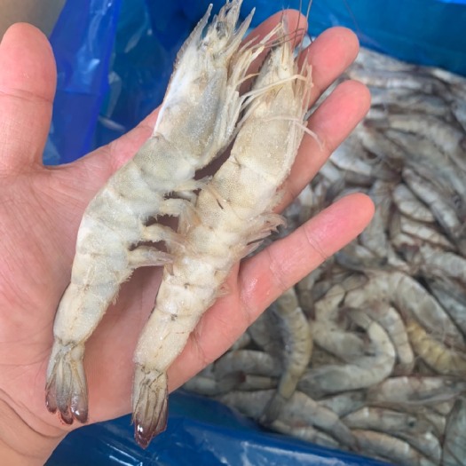 济南盐冻大板瑞玛莎30/40