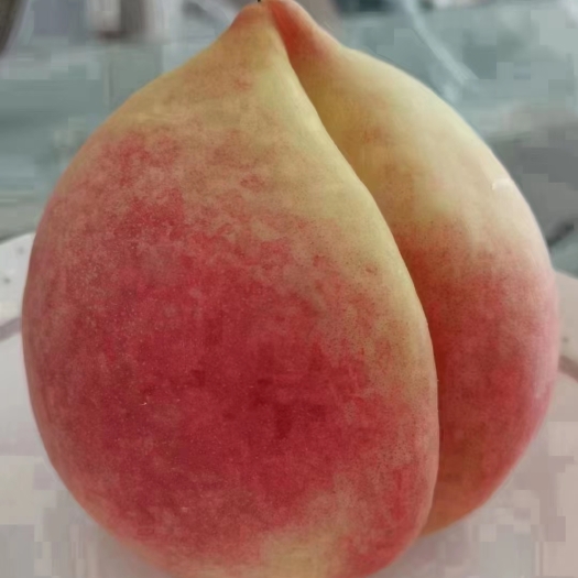 深州市深州蜜桃