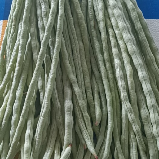 横州市白豆角