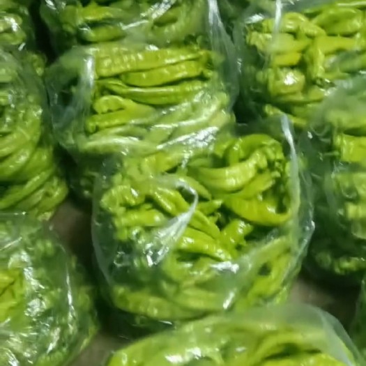 张家口黄皮尖椒