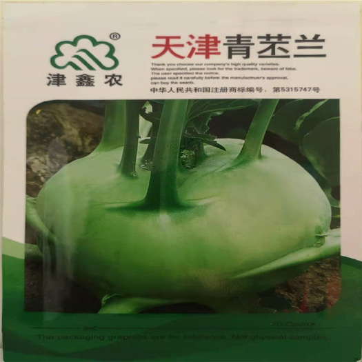 济南天津青苤兰种子高产水果苤蓝种子扁圆苤蓝细脆纤维少早熟福地苤蓝