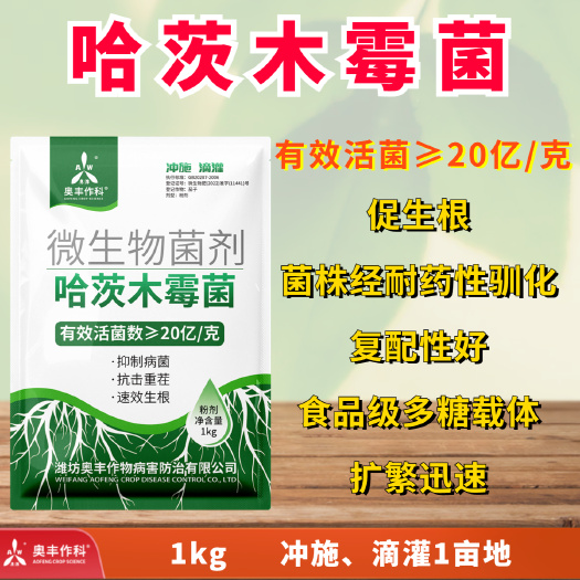 潍坊哈茨木霉菌保苗护苗改善土壤防病害20亿木霉菌微生物菌剂1kg
