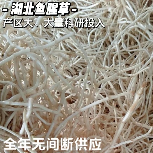 当阳市鱼腥草（旱田根、水田根）量大产地四季整车出货基地产地端