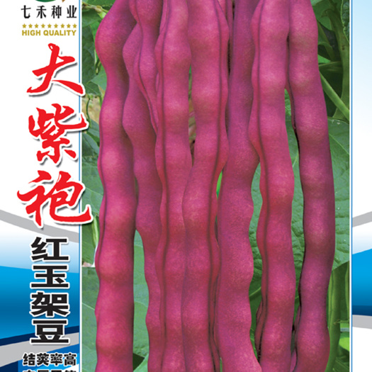 眉山七禾 大紫袍豆子二季豆种子