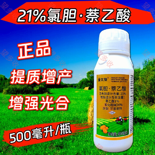 21%氯胆萘乙酸地下块茎膨大剂提高光合作用马铃薯红薯花生大蒜