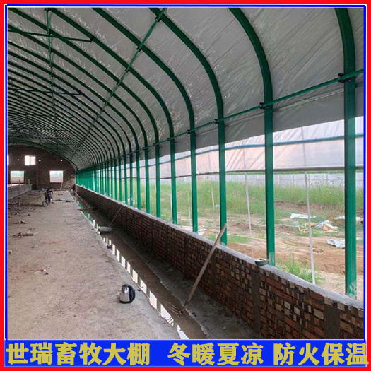 宁津县大棚式牛舍钢架养牛大棚建设牛舍养殖大棚施工安装