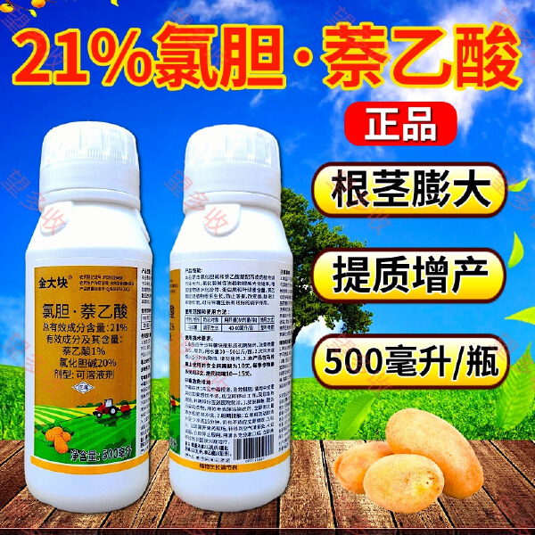 21%氯胆萘乙酸地下块茎膨大剂提高光合作用马铃薯红薯花生大蒜