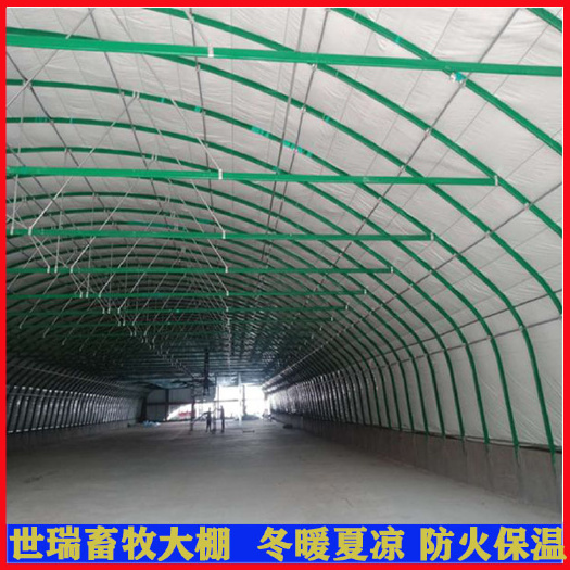 宁津县建设养鸡大棚 肉鸡养殖大棚建设 鸡舍大棚施工安装