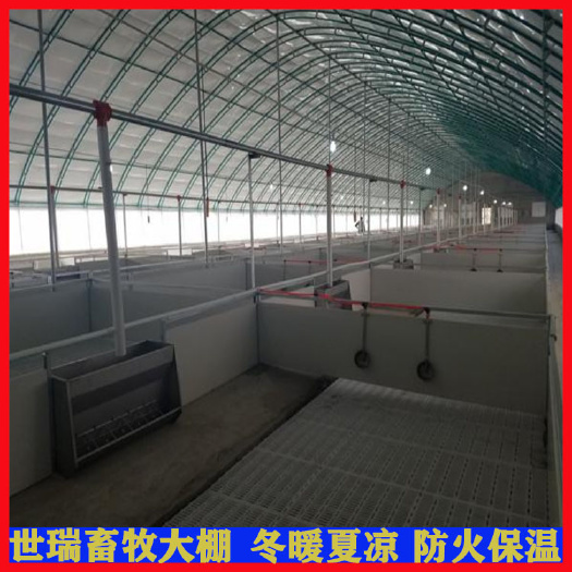 宁津县搭建养猪大棚 大棚式猪舍 养猪棚施工安装