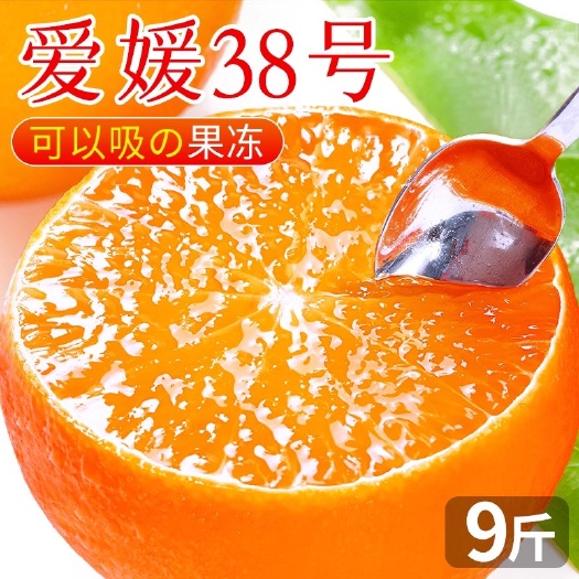 成都四川爱媛38号果冻橙新鲜橙子应当季水果柑橘蜜桔大果整箱
