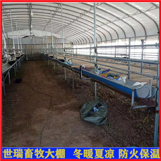 宁津县养羊大棚材料批发羊舍大棚安装养羊温室大棚施工