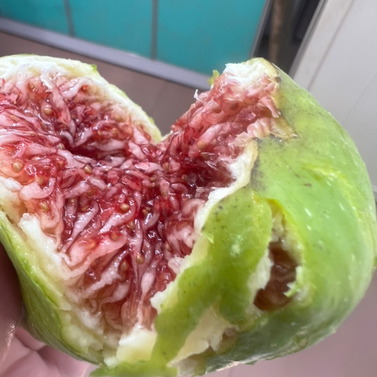 长沙山东荣成青皮无花果