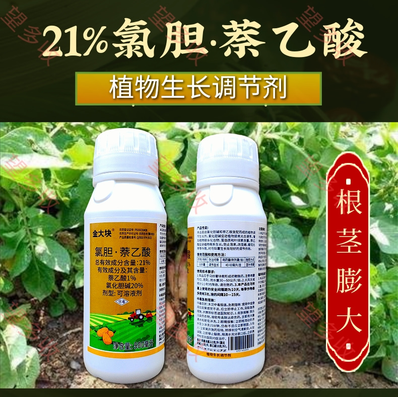 21%氯胆萘乙酸马铃薯地下根茎植物生长调节剂