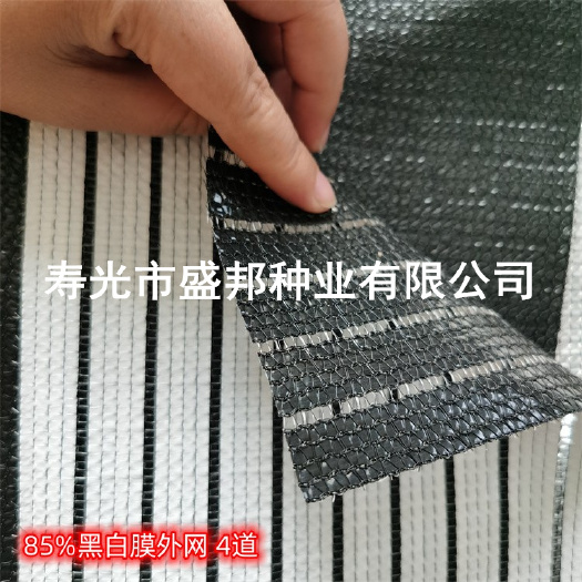 寿光市黑白膜外用遮阳网 连栋温室遮阳网 可包边
