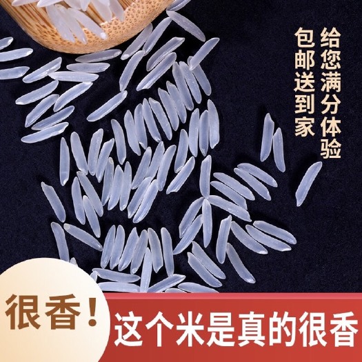 20斤新象牙香米丝苗米长粒香米大米新米正品猫牙米批发10斤装