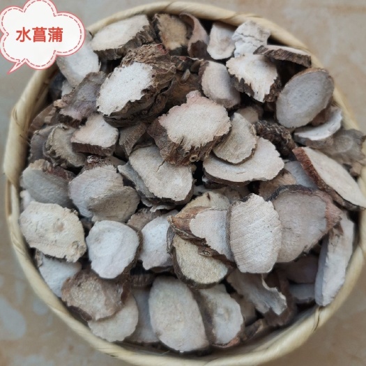 安国市水菖蒲正品中药材无硫水菖蒲 山菖蒲 臭蒲根 臭浦根非石菖蒲