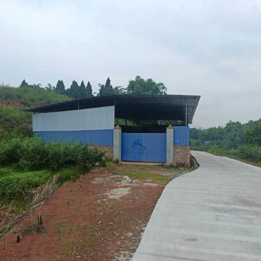 重庆市荣昌300亩花椒基地转让费用16万带设备