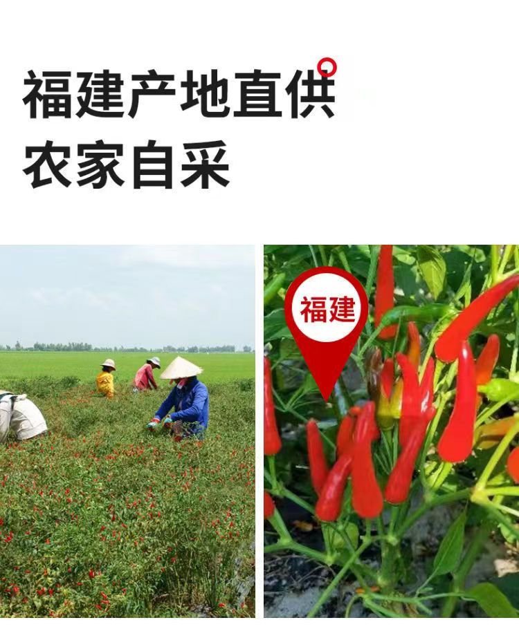 福建辣椒王，干辣椒卤菜鸭货，香辣耐煮。