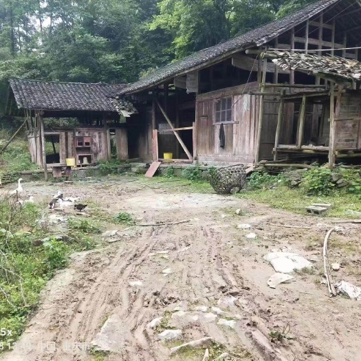 秀山重庆市秀山县兰桥镇民房70平出zu