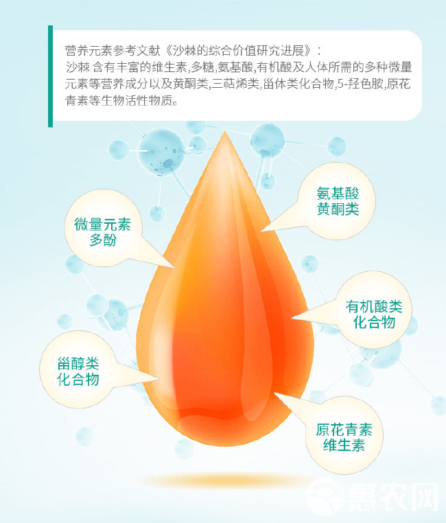 沙棘果油250ml/瓶贴牌代工OEM定制货源厂家批发一件代发