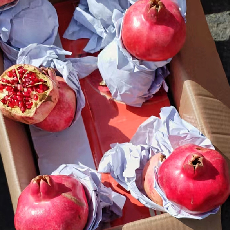 新疆石榴和田包邮批发喀什当季新鲜水果硬籽酸甜石榴