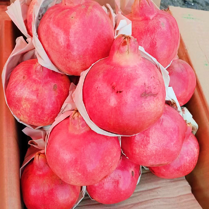 新疆石榴和田包邮批发喀什当季新鲜水果硬籽酸甜石榴