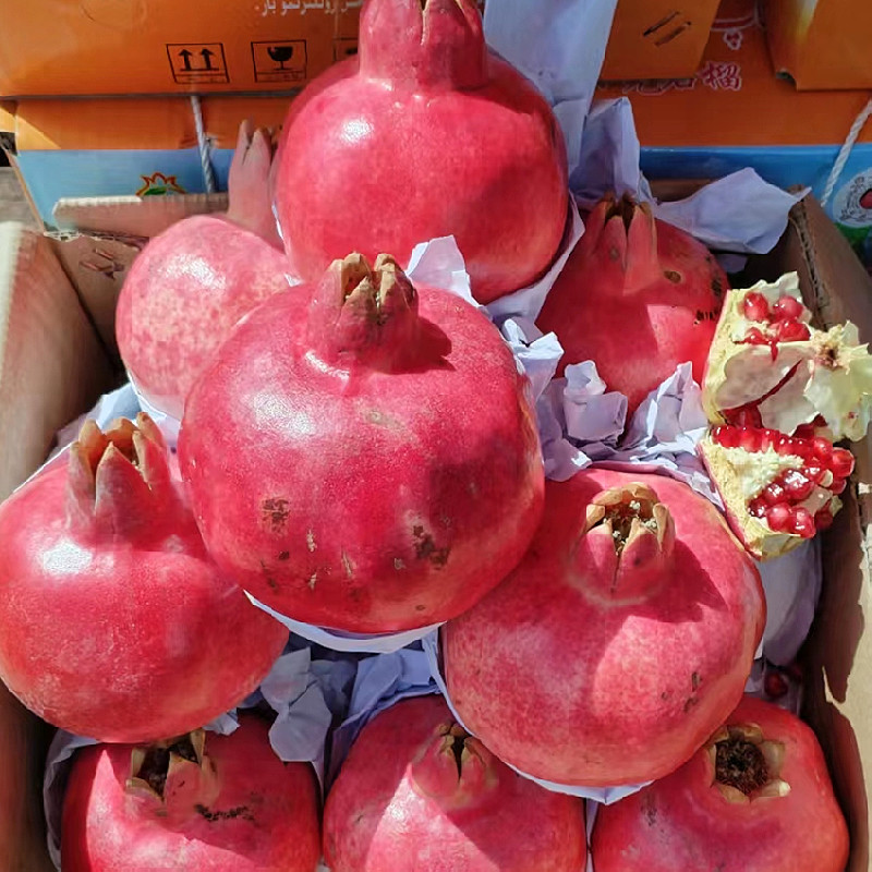 新疆石榴和田包邮批发喀什当季新鲜水果硬籽酸甜石榴