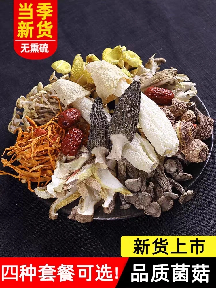 ؽǾɻݻǾƽӱϰ