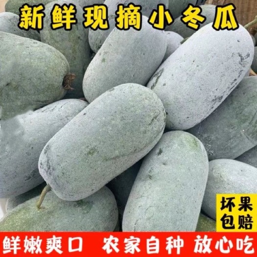 尉氏县水果冬瓜支持各种包装，电商 商超 社区团购 市场